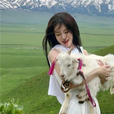 杀人者的难堪 在线观看封面